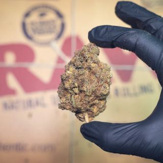 Pořádné palice a top květy které jinde nenajdeš 🔥 zastav se na jednu z našich prodejen nebo navštiv náš eshop a přesvědč...